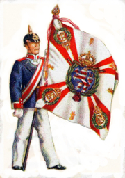 Regimentsfahne no.168